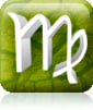 virgo_2