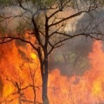Alerta Naranja en cinco municipios de Urabá por probables incendios forestales