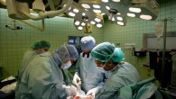 Varios cirujanos trabajan en una operación de transplante. EFE/Archivo