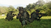 soldado