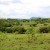 tierras baldías (Copiar)