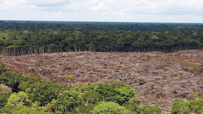 Municipio de la Amazonía brasileña une esfuerzos para combatir la ... - Minuto30.com
