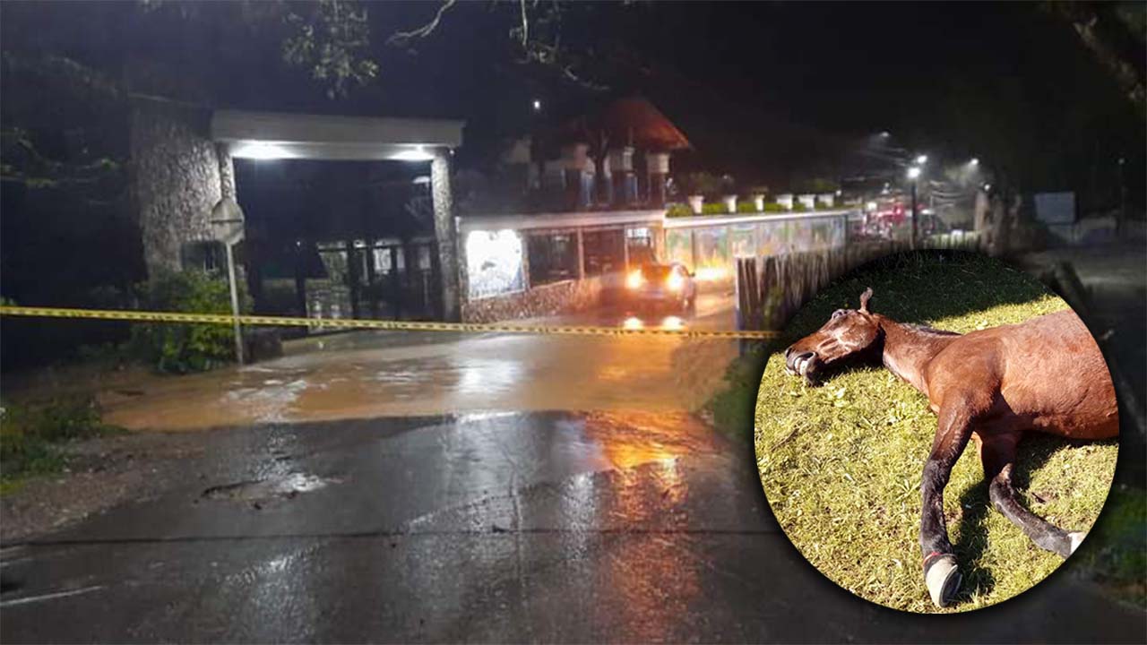 [Video] ¡Emergencia en Cocorná! Una persona y 4 equinos perdieron la vida